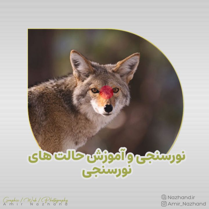 نورسنجی و آموزش حالت های نورسنجی